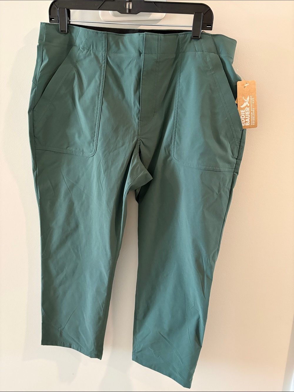 NWT Eddie Bauer Teal Cargo Performance Pants